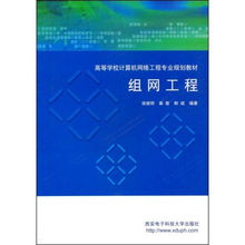 組網(wǎng)工程 計算機系統(tǒng)集成的理論與實踐